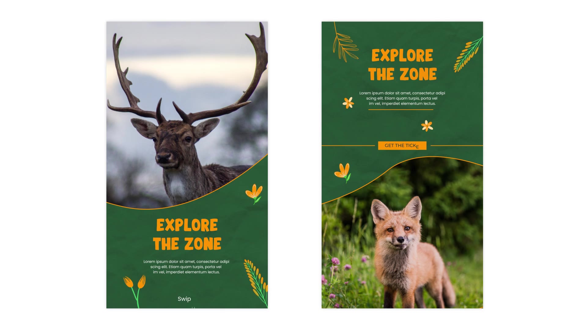 Wildlife Instagram Story Template Videohive 35490855 After Effects Image 6