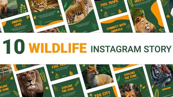 Wildlife Instagram Story Template - Videohive 35490855 Download