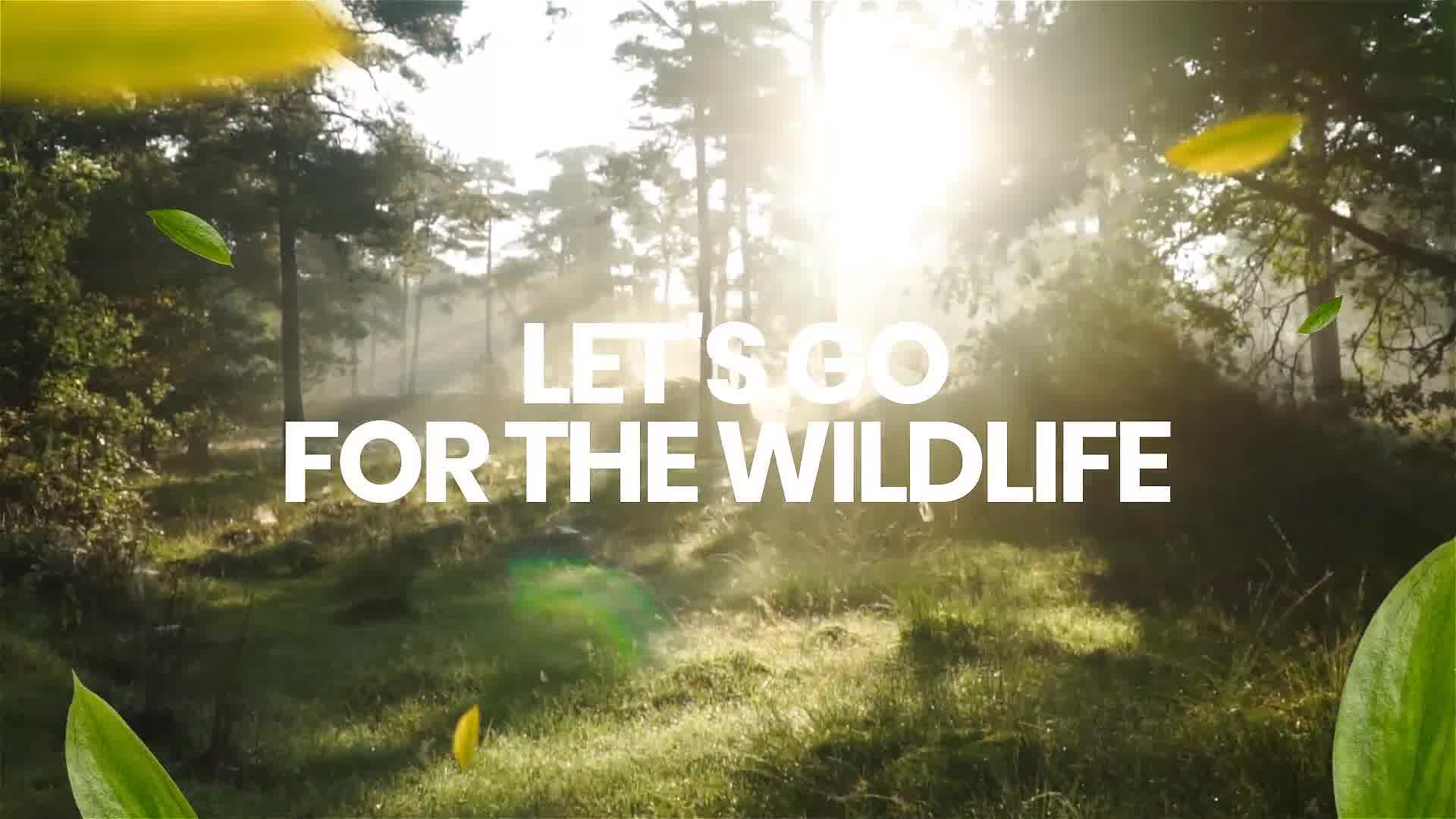 Wildlife Journey Slideshow Videohive 33481975 After Effects Image 10