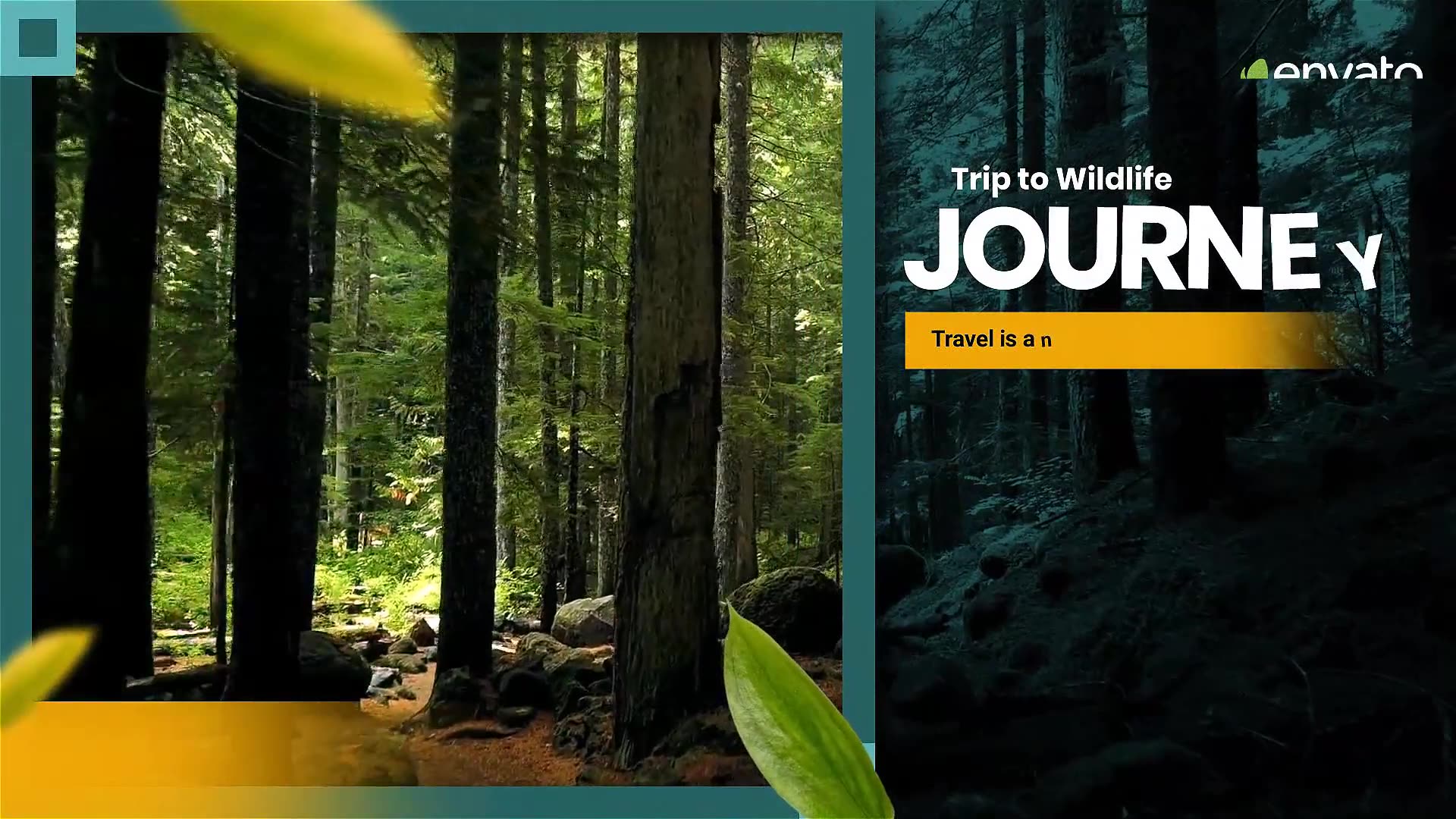 Wildlife Journey Slideshow Videohive 33481975 After Effects Image 2