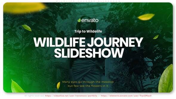 Wildlife Journey Slideshow - 33481975 Videohive Download
