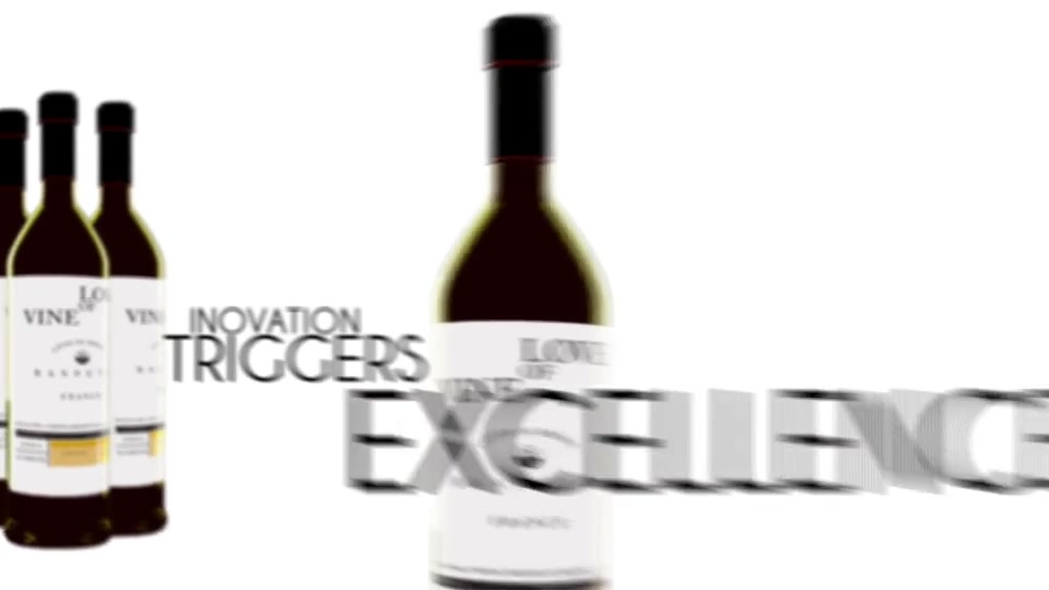 Wine Exelence Commercial Videohive 14294992 After Effects Image 11