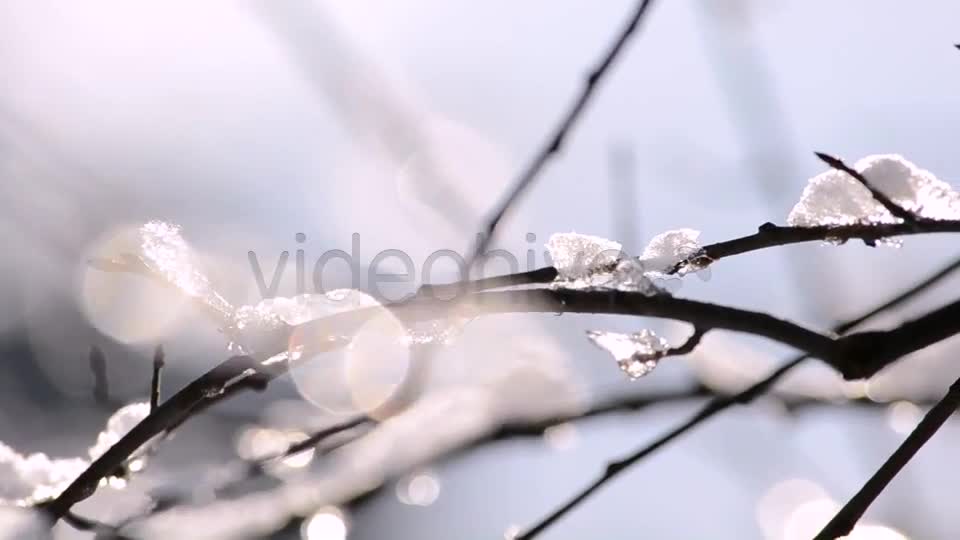 Winter  Videohive 4265429 Stock Footage Image 1