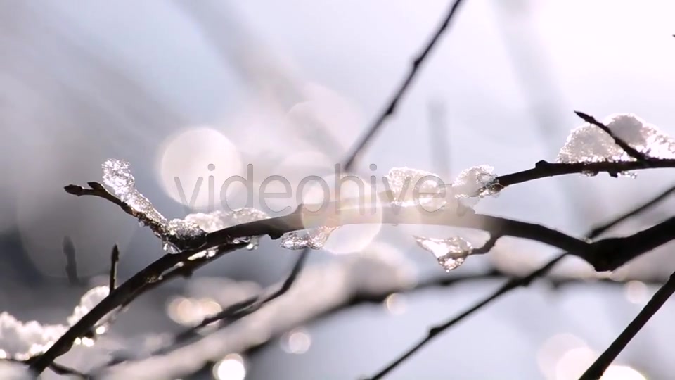 Winter  Videohive 4265429 Stock Footage Image 10