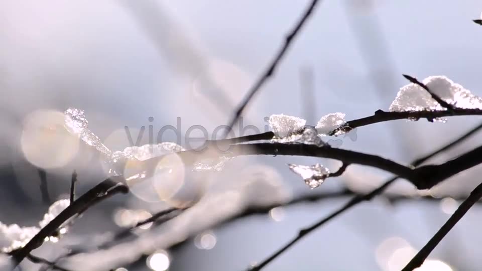 Winter  Videohive 4265429 Stock Footage Image 2