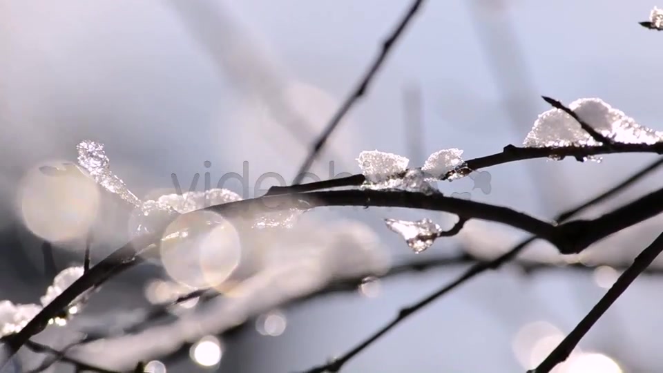 Winter  Videohive 4265429 Stock Footage Image 3