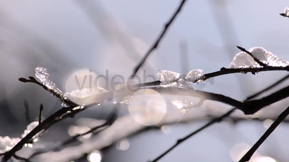 Winter  Videohive 4265429 Stock Footage Image 4