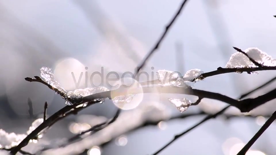 Winter  Videohive 4265429 Stock Footage Image 5