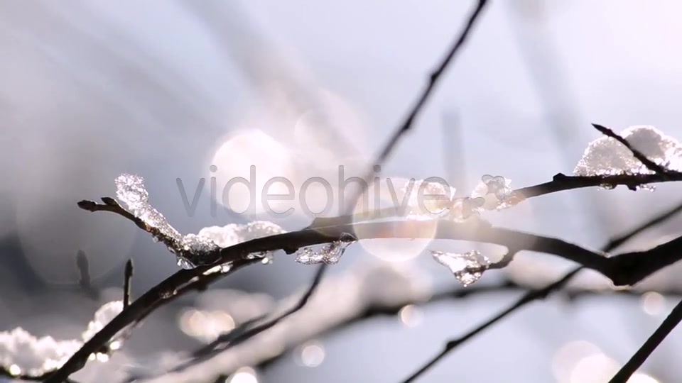 Winter  Videohive 4265429 Stock Footage Image 6