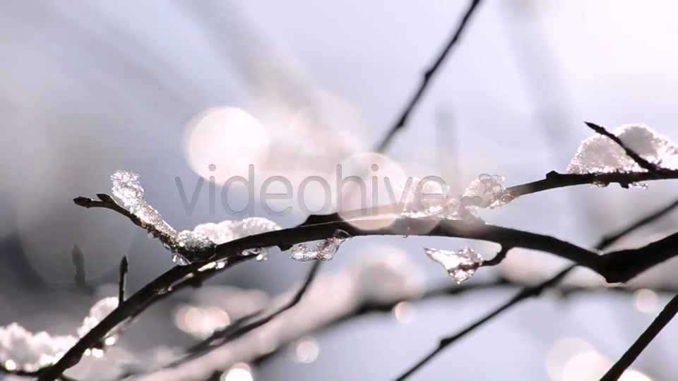 Winter  Videohive 4265429 Stock Footage Image 7