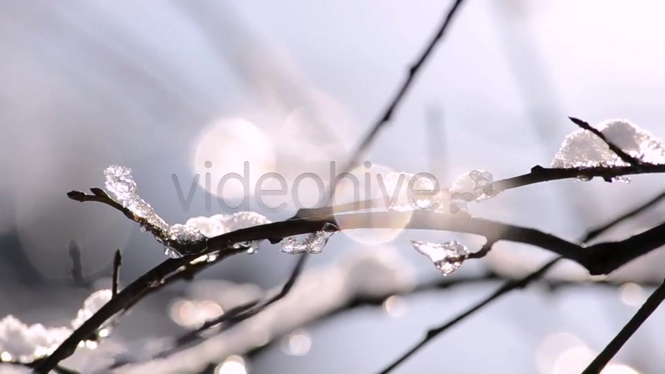 Winter  Videohive 4265429 Stock Footage Image 8