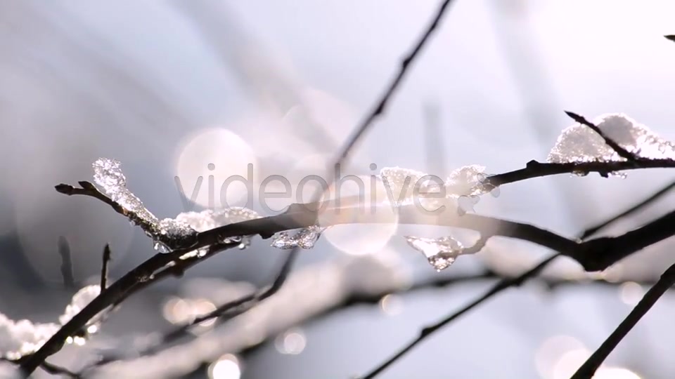 Winter  Videohive 4265429 Stock Footage Image 9
