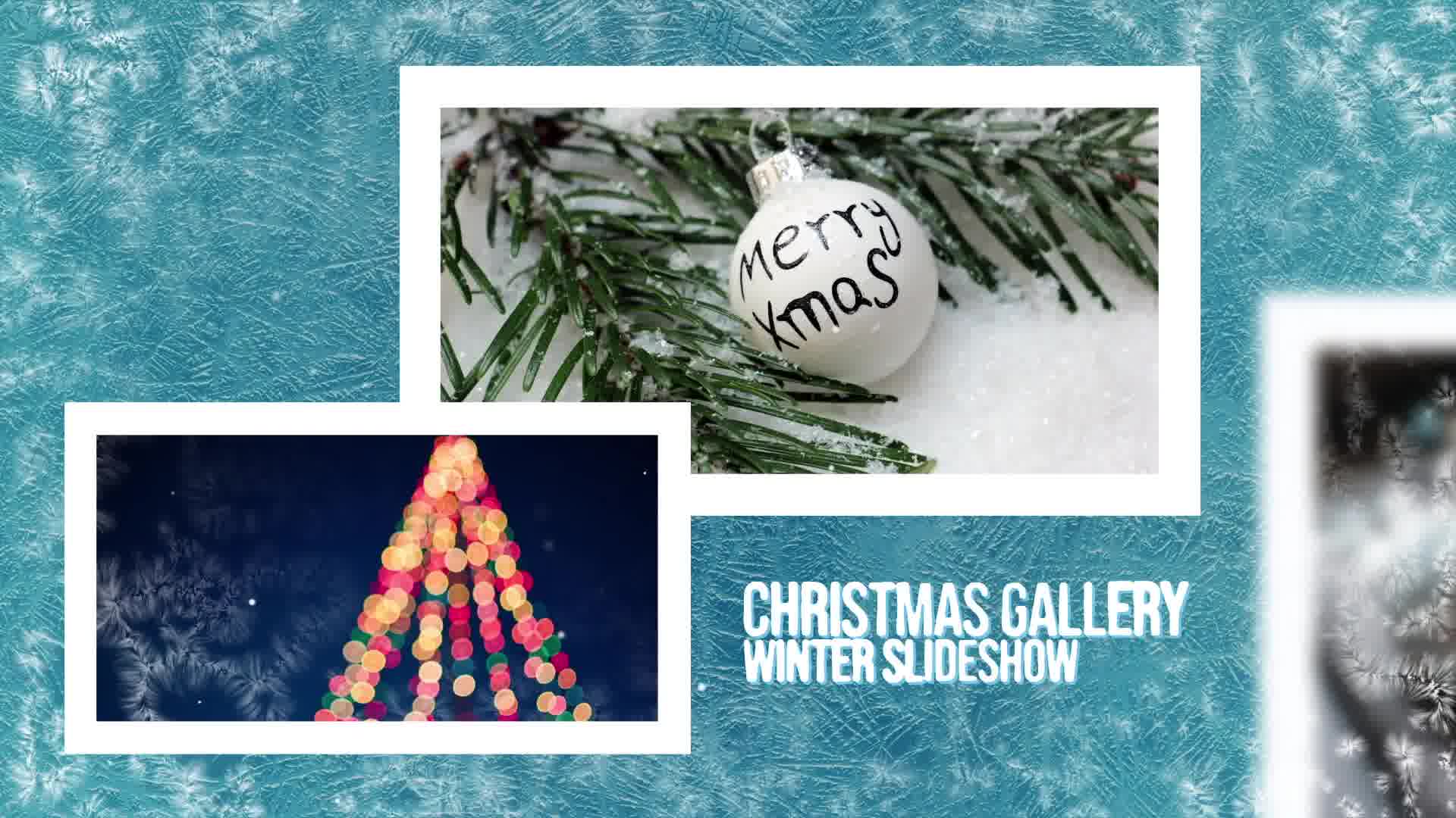 Winter Christmas Slideshow | Premiere Project Videohive 34516492 Premiere Pro Image 12