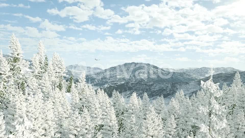 Winter Forest Nature Logo Videohive 29985870 After Effects Image 1