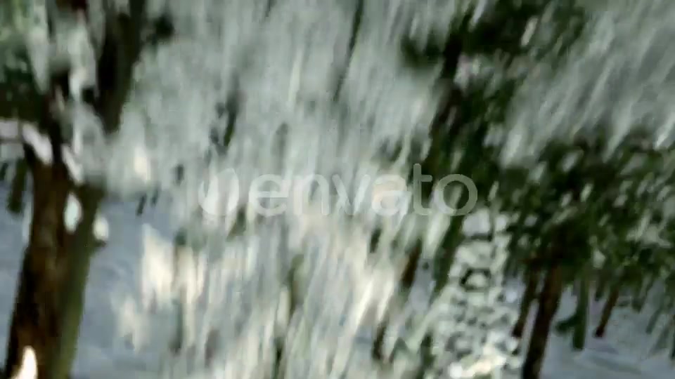 Winter Forest Nature Logo Videohive 29985870 After Effects Image 4