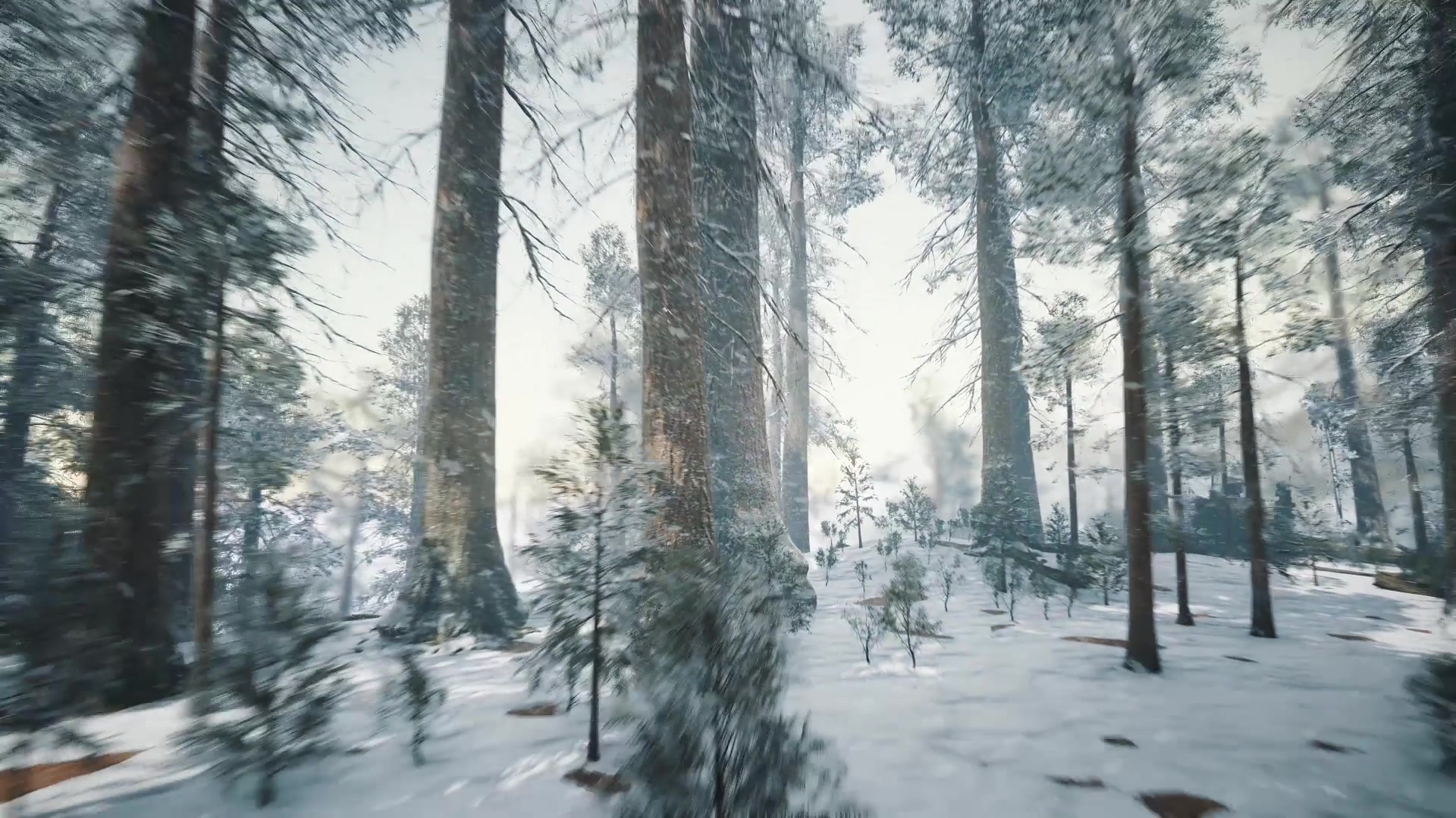 Winter is coming Videohive 24689541 After Effects Image 3