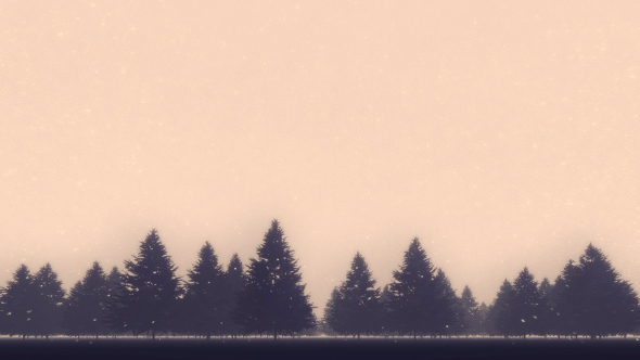 Winter Pine Forest - Download Videohive 18710412