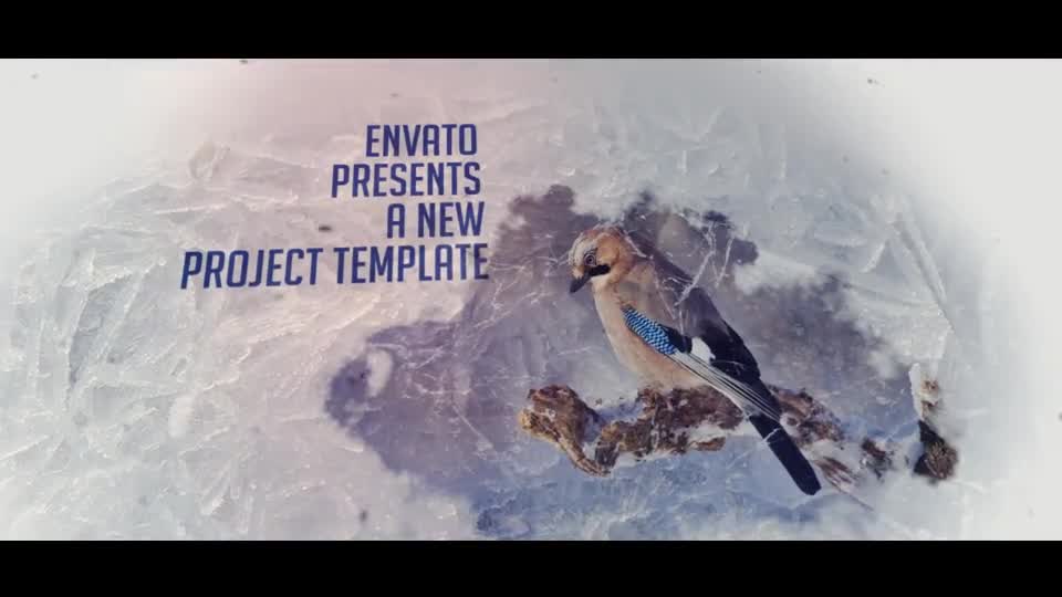 Winter Project Slideshow - Download Videohive 19136136