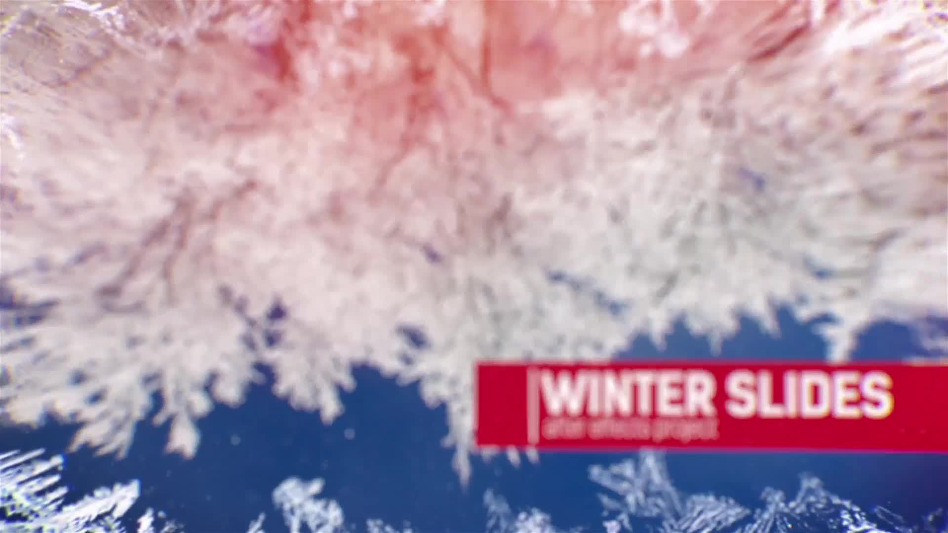Winter Slides Videohive 20842802 After Effects Image 1