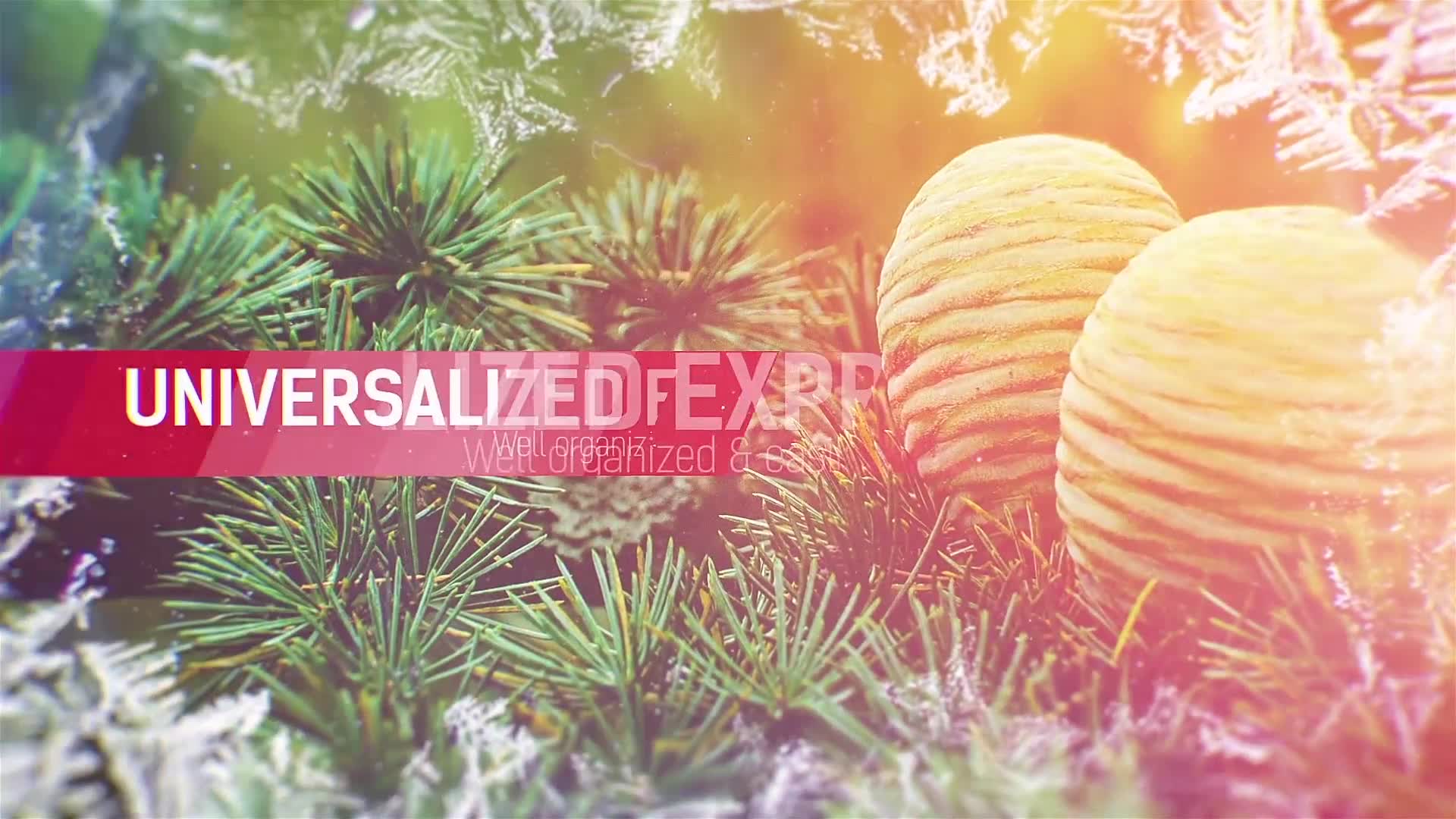 Winter Slides Videohive 20842802 After Effects Image 7