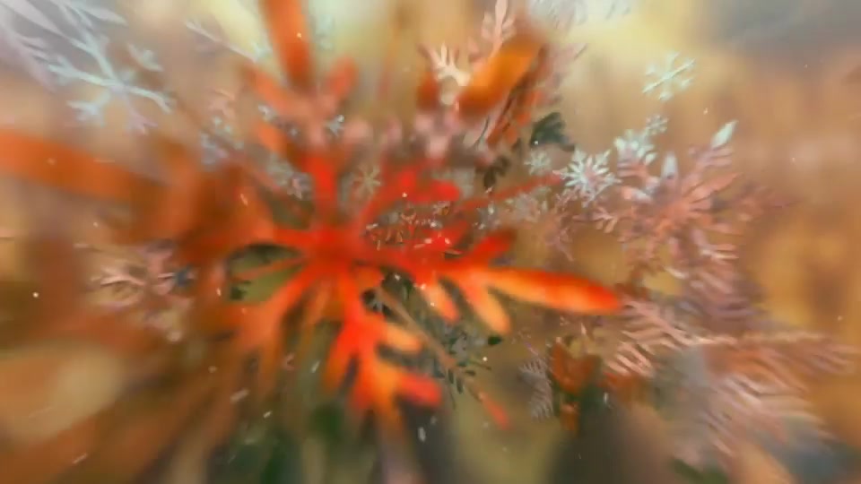 Winter Slideshow Videohive 13828641 After Effects Image 10