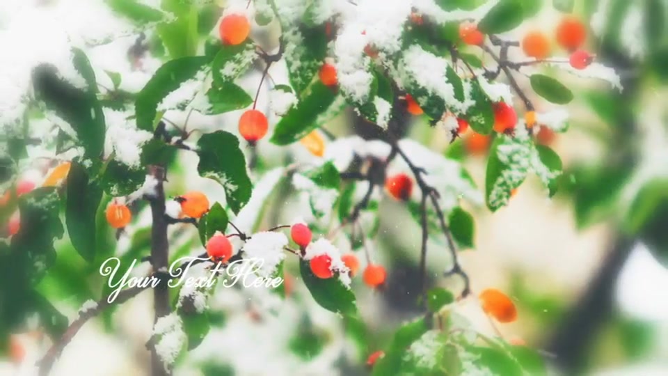 Winter Slideshow Videohive 13828641 After Effects Image 12