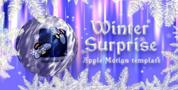 Winter Surprise - Download Videohive 3583123