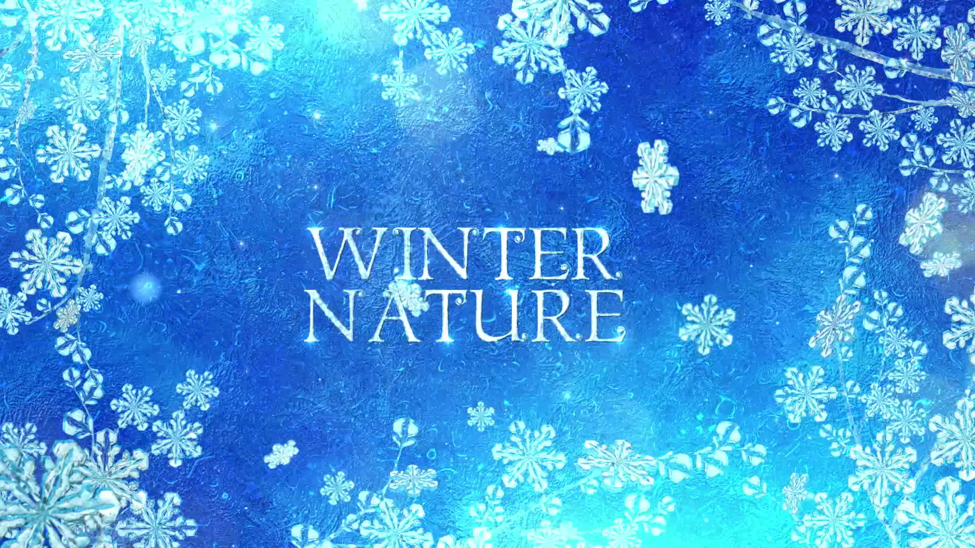 Winter Titles Videohive 25008630 After Effects Image 6