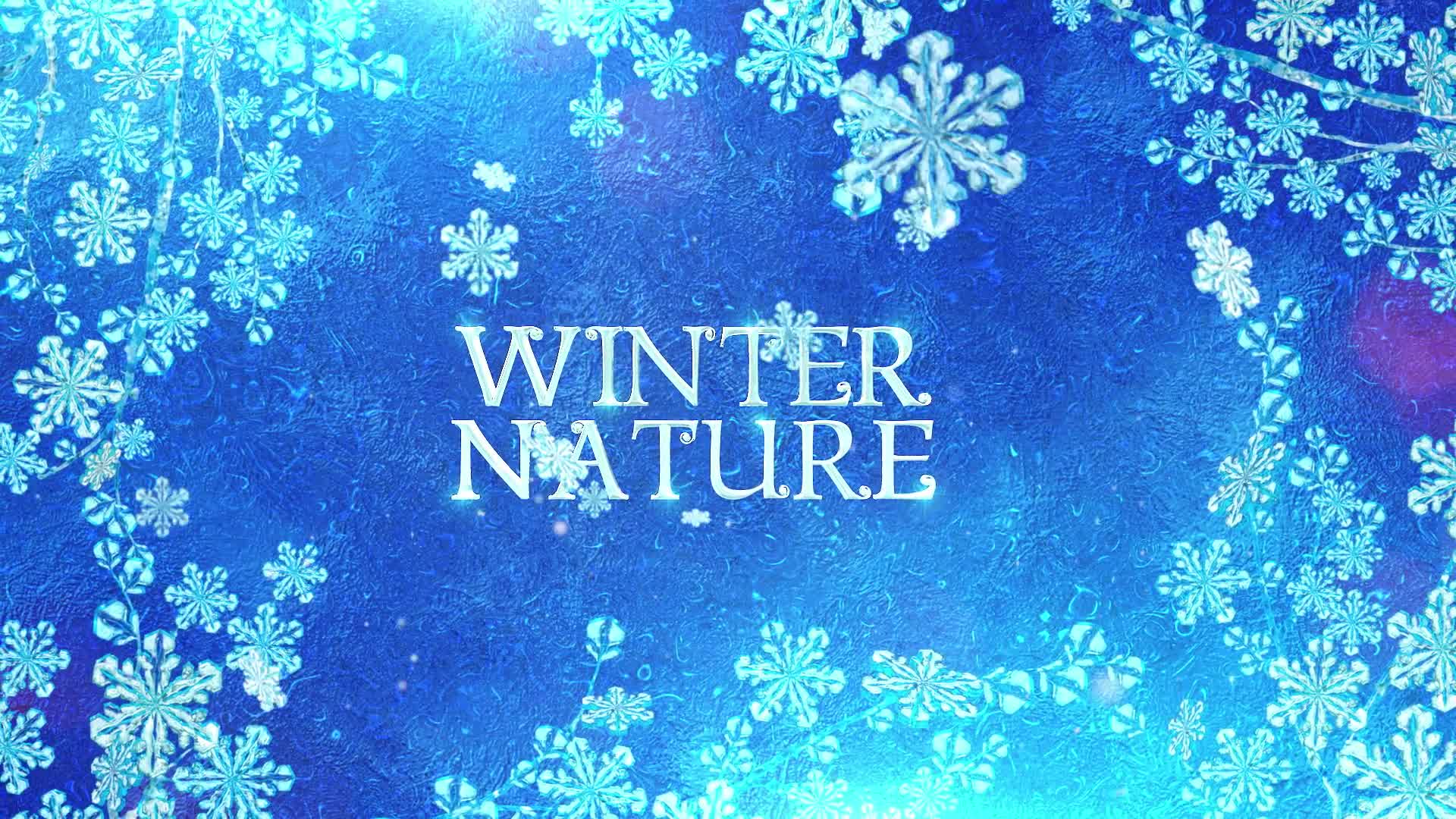 Winter Titles Apple Motion Videohive 29302843 Apple Motion Image 6