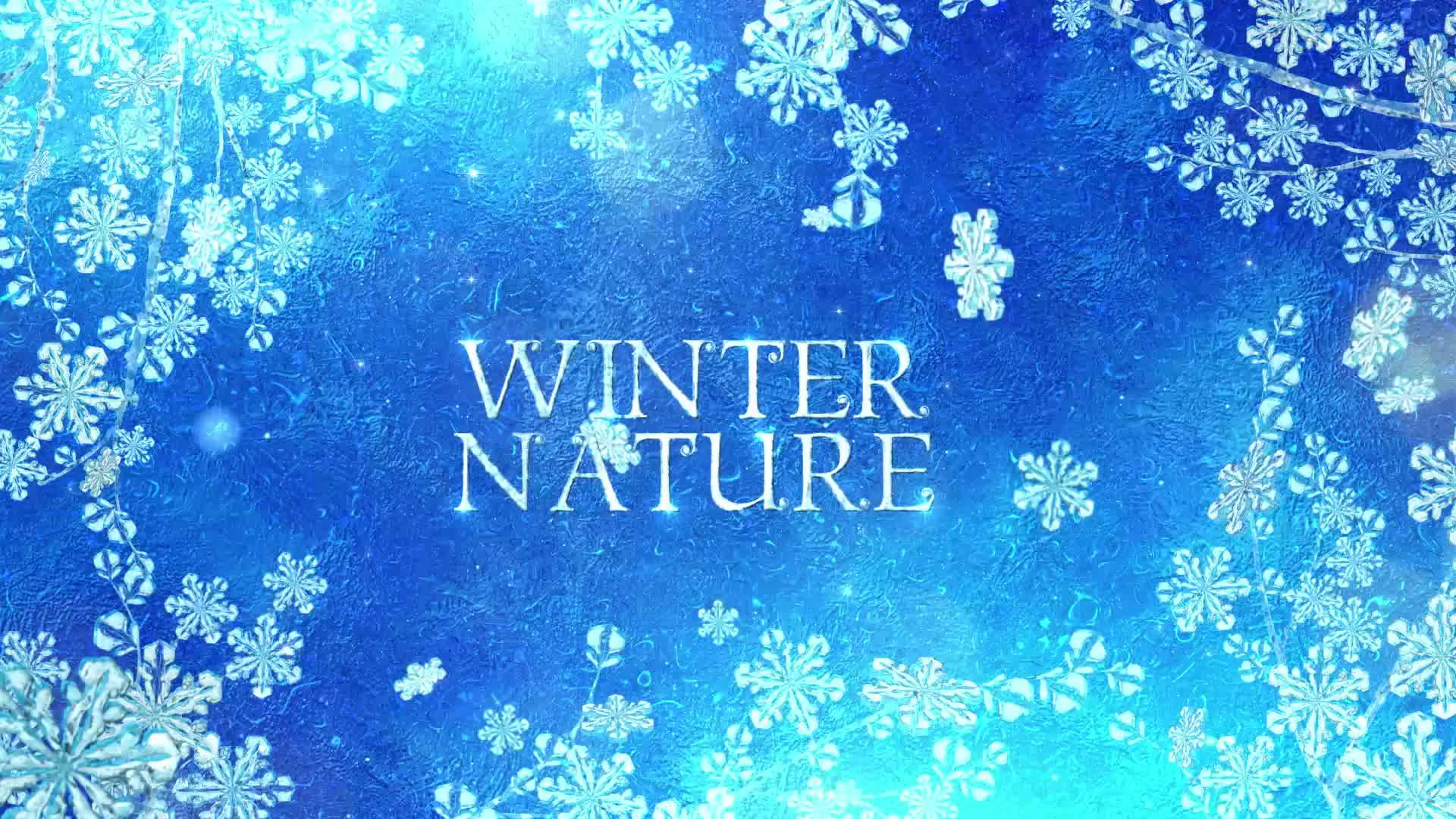 Winter Titles Premiere Pro Videohive 25045449 Premiere Pro Image 6