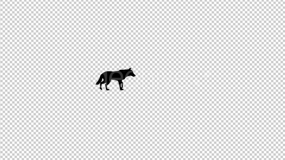 Wolf Silhouette Walk Animation - Download Videohive 20479099