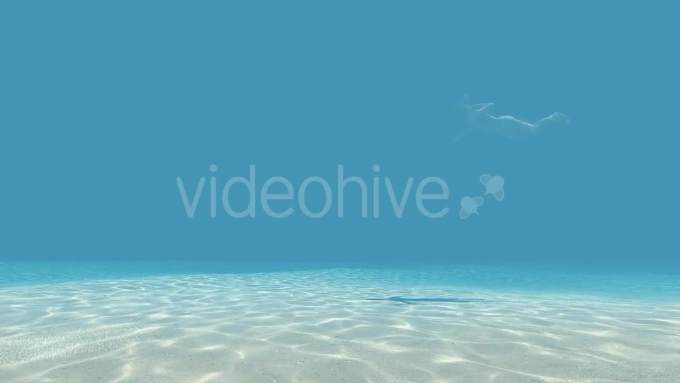 Woman Swim Underwater - Download Videohive 19659325