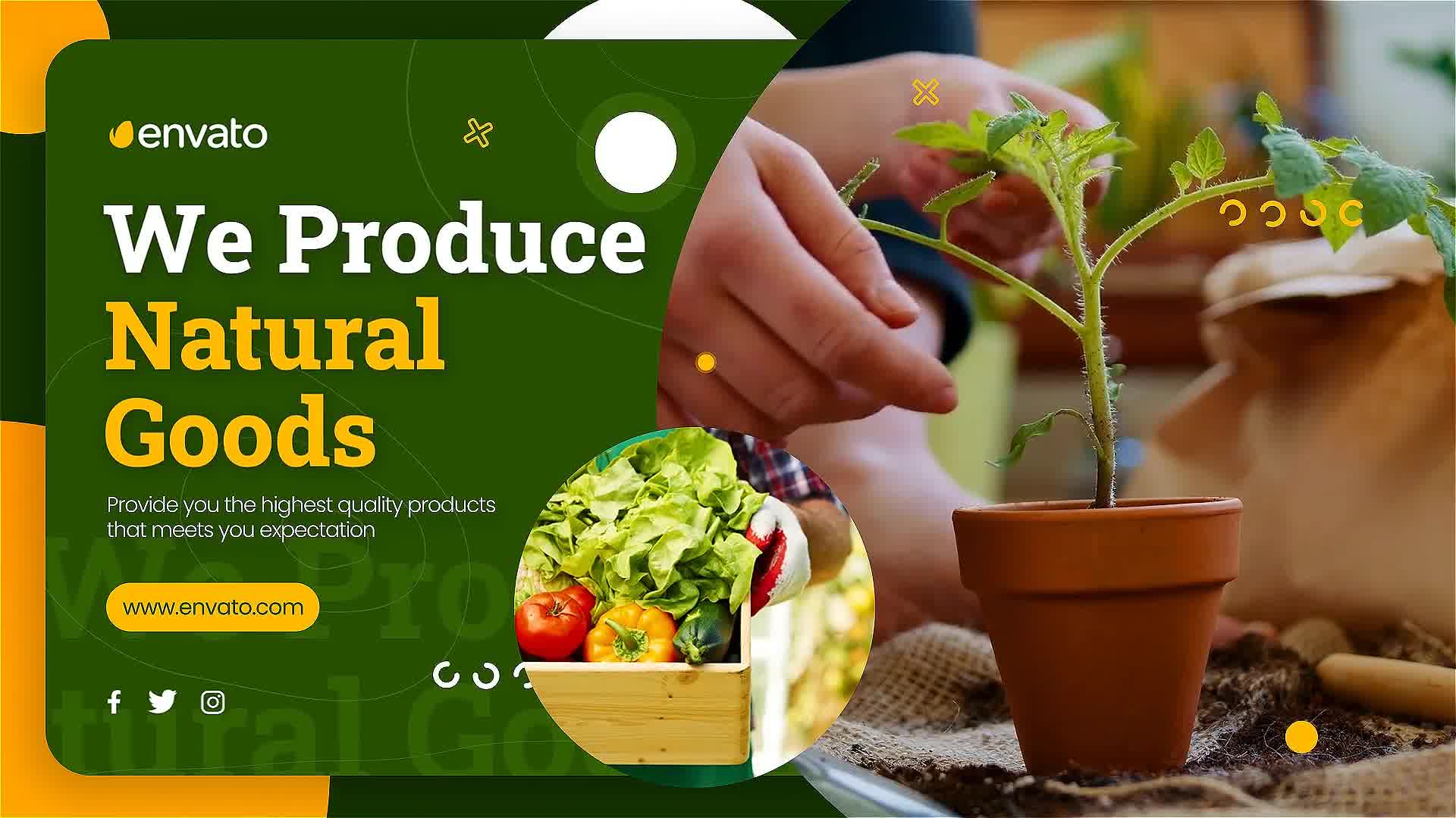 World Agriculture Promotion Videohive 30507707 After Effects Image 10