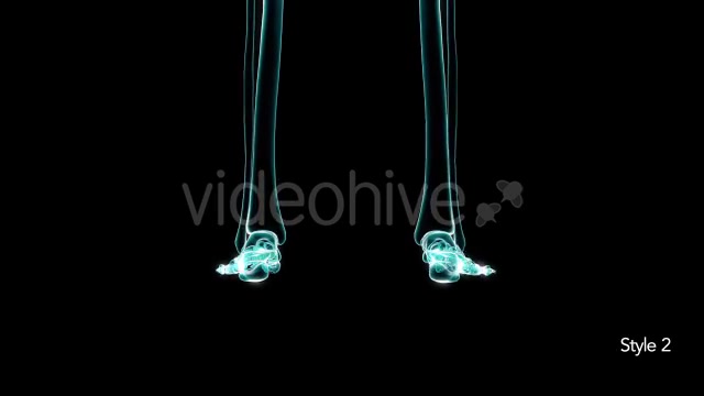 X Ray of Human Skeleton - Download Videohive 11471830