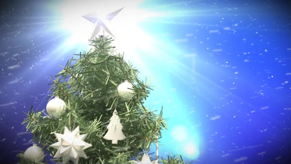 Xmas Tree Greeting & Countdown Videohive 6278582 After Effects Image 3