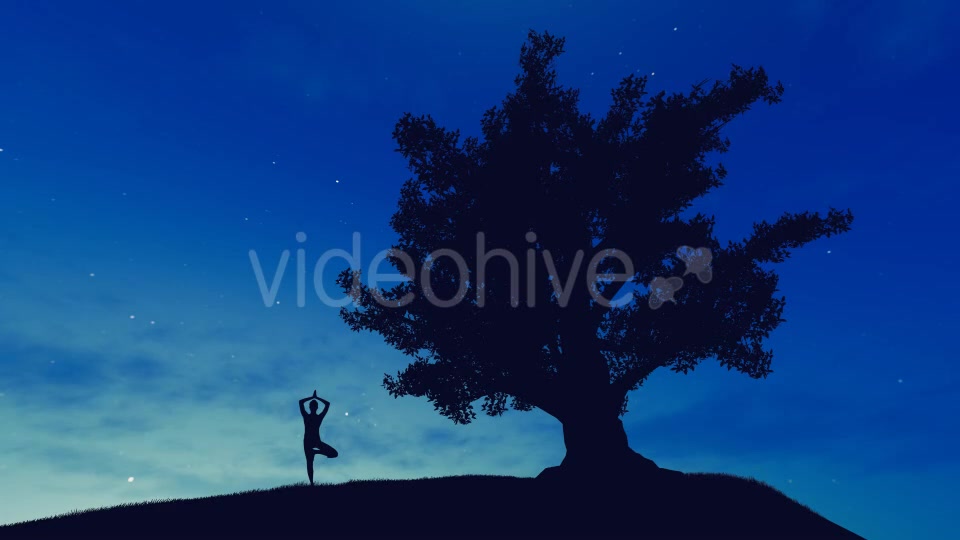 Yoga At Sunrise - Download Videohive 20902277
