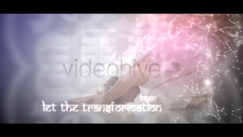 Yoga Zone - Download Videohive 3588905