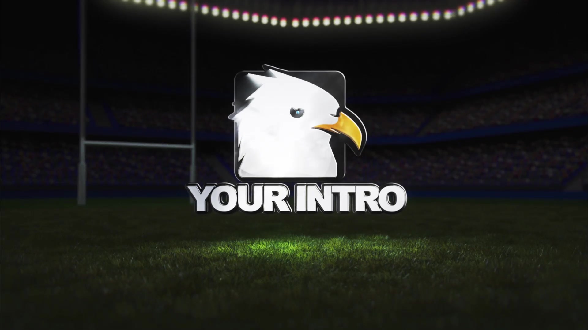 Your Rugby Intro Videohive 33526403 After Effects Image 8