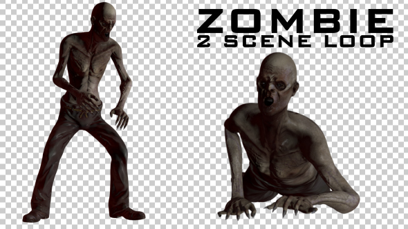 Zombie 2 Scene Loop Animations - Download Videohive 21040825