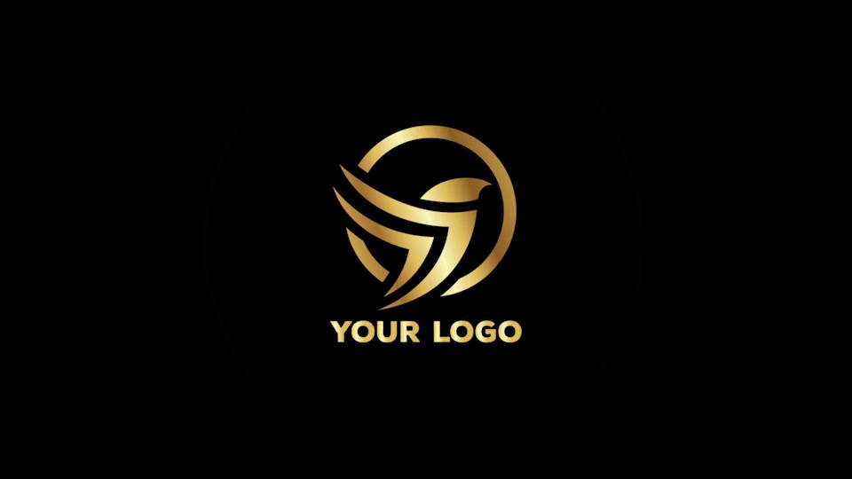 Zoom On Earth And Logo Reveal V2 - Download Videohive 22001651