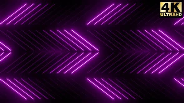 10 Purple Neon Lights Loop Pack - Download Videohive 25432143