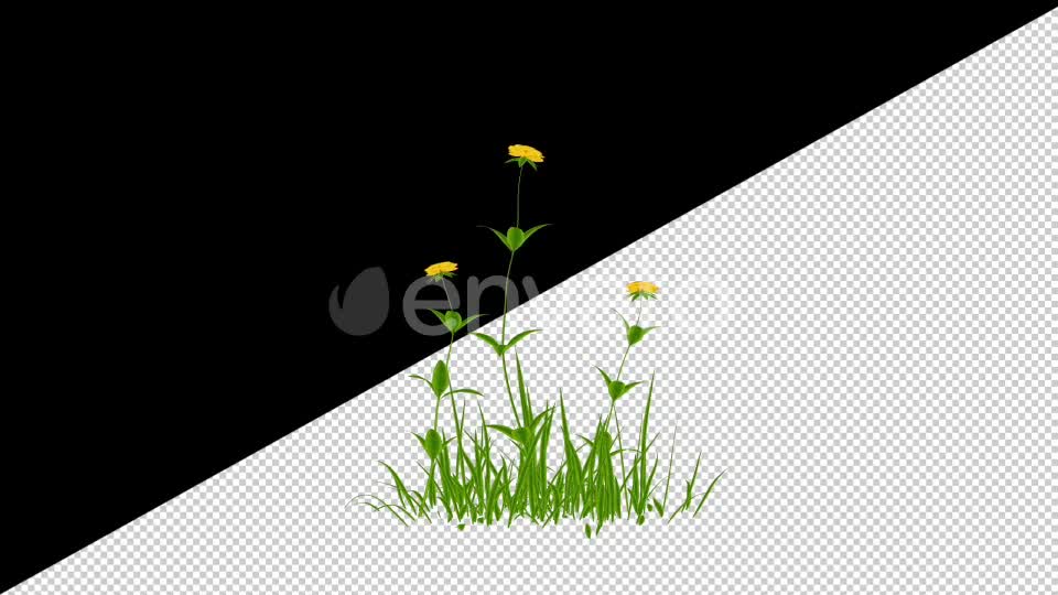 2D Cartoon Roses Pack Videohive 24579194 Motion Graphics Image 1