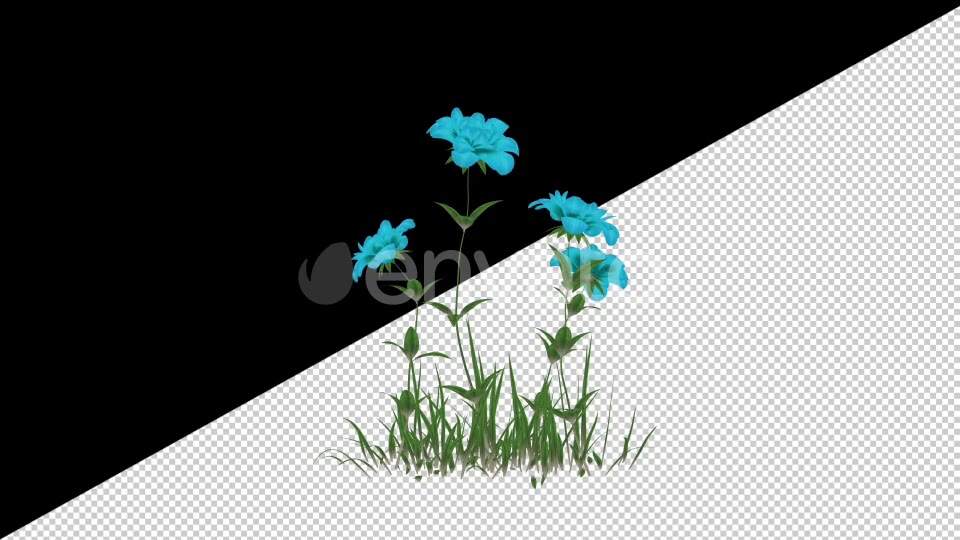 2D Cartoon Roses Pack Videohive 24579194 Motion Graphics Image 10