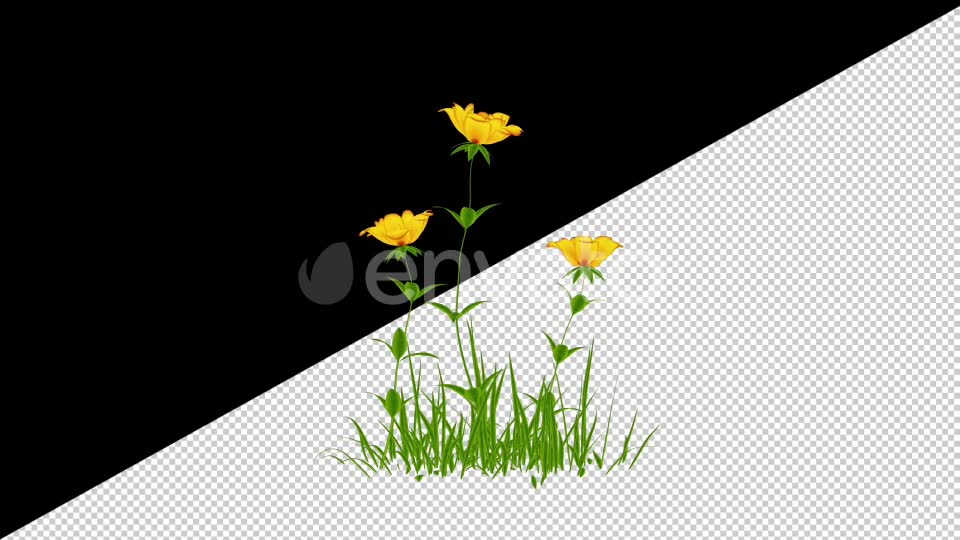 2D Cartoon Roses Pack Videohive 24579194 Motion Graphics Image 2