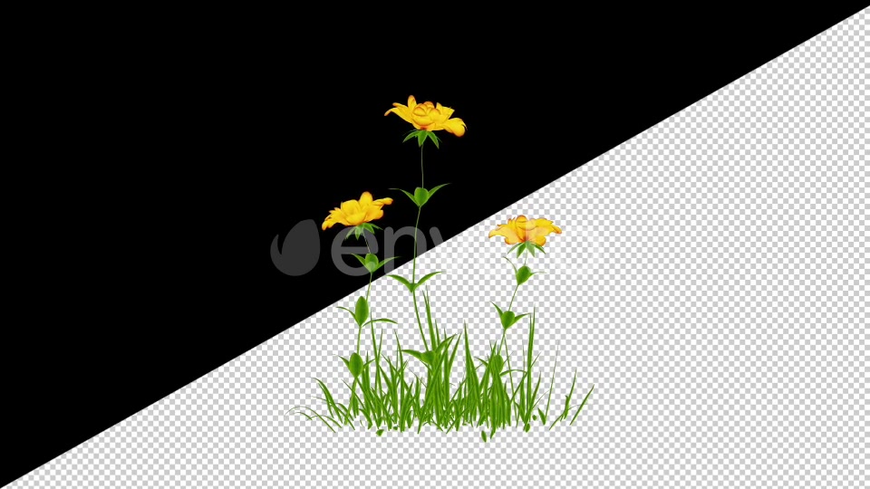 2D Cartoon Roses Pack Videohive 24579194 Motion Graphics Image 3