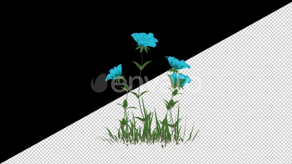 2D Cartoon Roses Pack Videohive 24579194 Motion Graphics Image 8