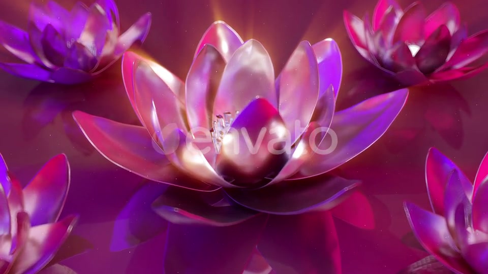 3D Flowers Background Videohive 22995284 Motion Graphics Image 11