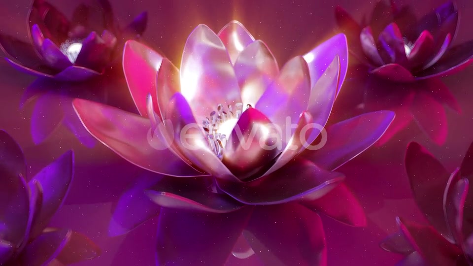 3D Flowers Background Videohive 22995284 Motion Graphics Image 5