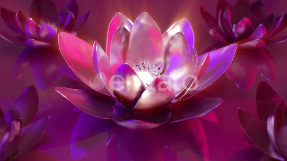 3D Flowers Background Videohive 22995284 Motion Graphics Image 6