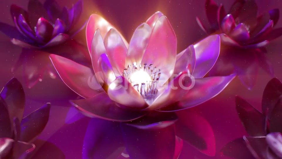 3D Flowers Background Videohive 22995284 Motion Graphics Image 7